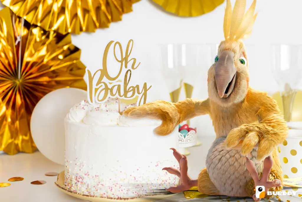 Organiser une baby shower mémorable, c'est facile avec Burddy !