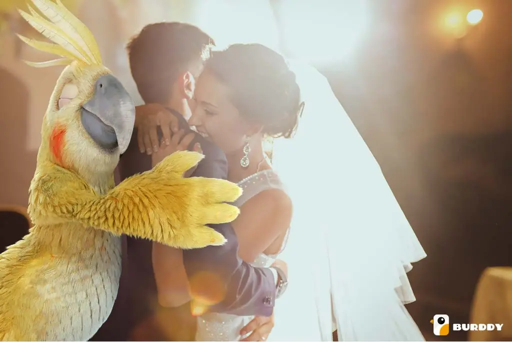 Les photobooths Burddy au salon du mariage 2019 de Lille